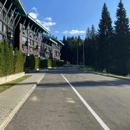 Apartment Luxury Silver Mountain Vue *
